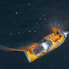 Wie nachhaltig ist Fischfang heute noch?