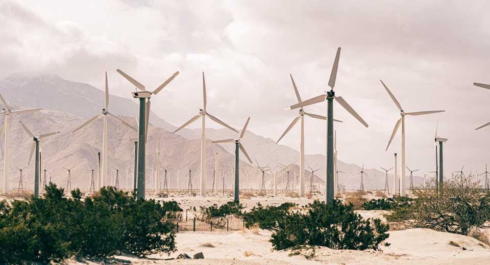 Windrader und der Umwelteinfluss - Windräder und der Umwelteinfluss